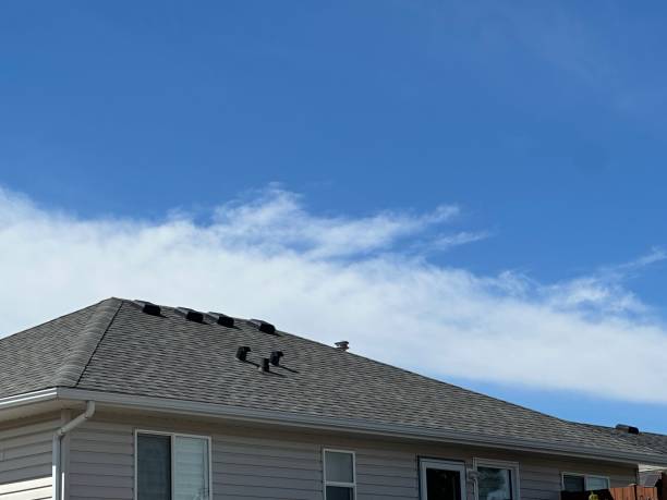  Arche, OK Roofing Service Pros